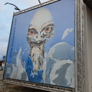 2024 10 Kunstwand Tanja Stein