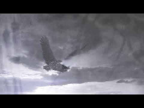 Youtube Vorschau - Video ID 2TtJAKj2Mg4